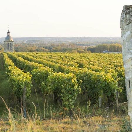 Studio Au Coeur Des Vignes Apartment Montlouis sur Loire Bagian luar foto