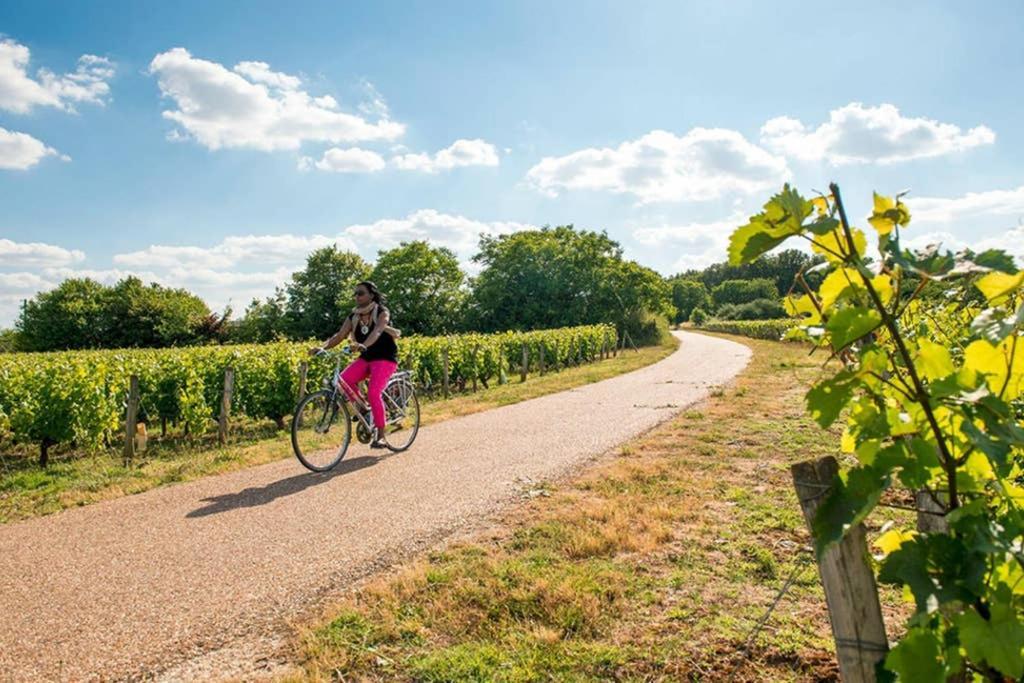 Studio Au Coeur Des Vignes Apartment Montlouis sur Loire Bagian luar foto