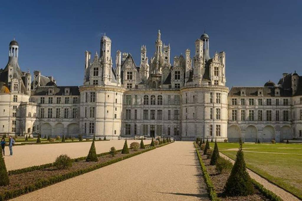 Studio Au Coeur Des Vignes Apartment Montlouis sur Loire Bagian luar foto